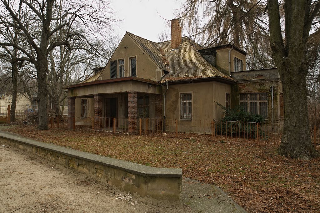 Dieses Gebäude diente in den 1930er Jahren u.a. dem Direktor des Leipziger Centraltheaters Johannes Merz als Villa. Später als Verwaltungsgebäude der Direktion des "Haus Auensee" by Appaloosa_LE