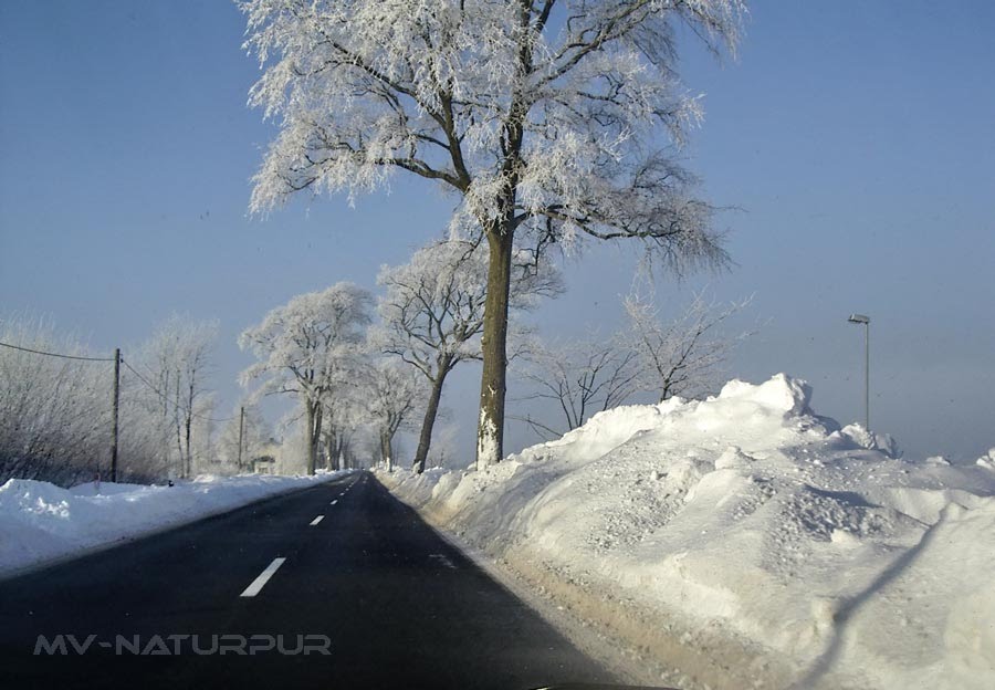 Winter am Rand der Kühlung by mv-naturpur