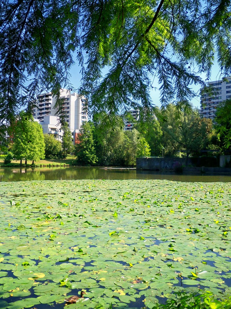 Am Stadtweiher by zuarin