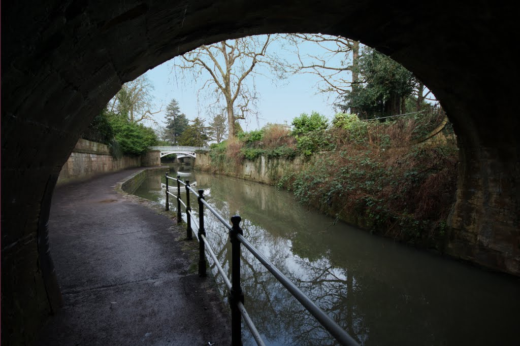 Towpath by fat-freddies-cat