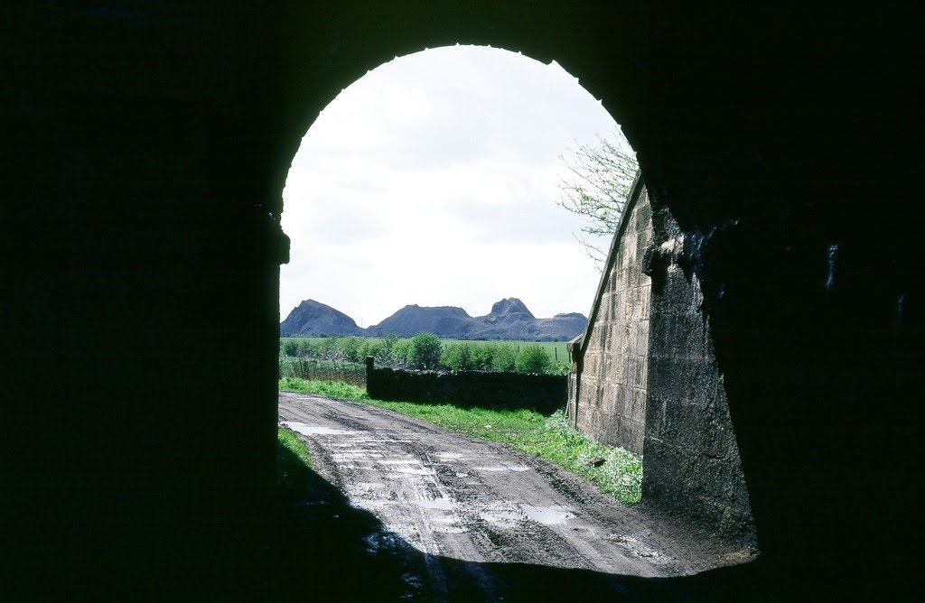 Lysdon Farm Railway Bridge, back in the sixtees by stuart webber