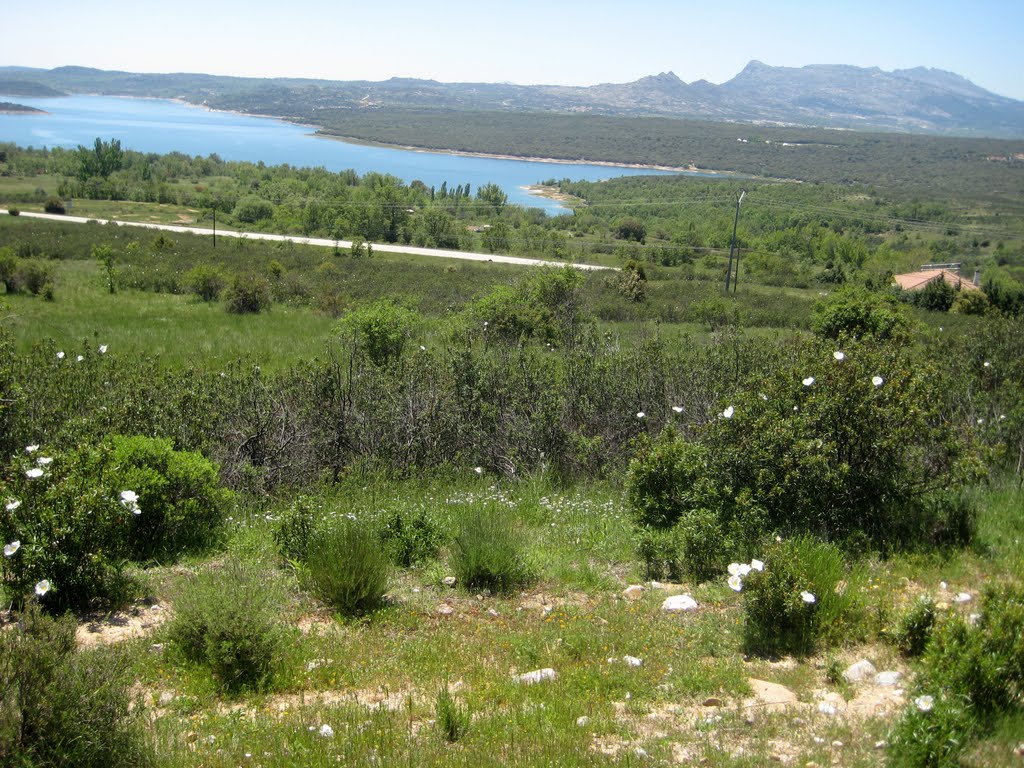 Panorámica desde el paraje de El Frontal (carretera M-127) by benjamin M. M.