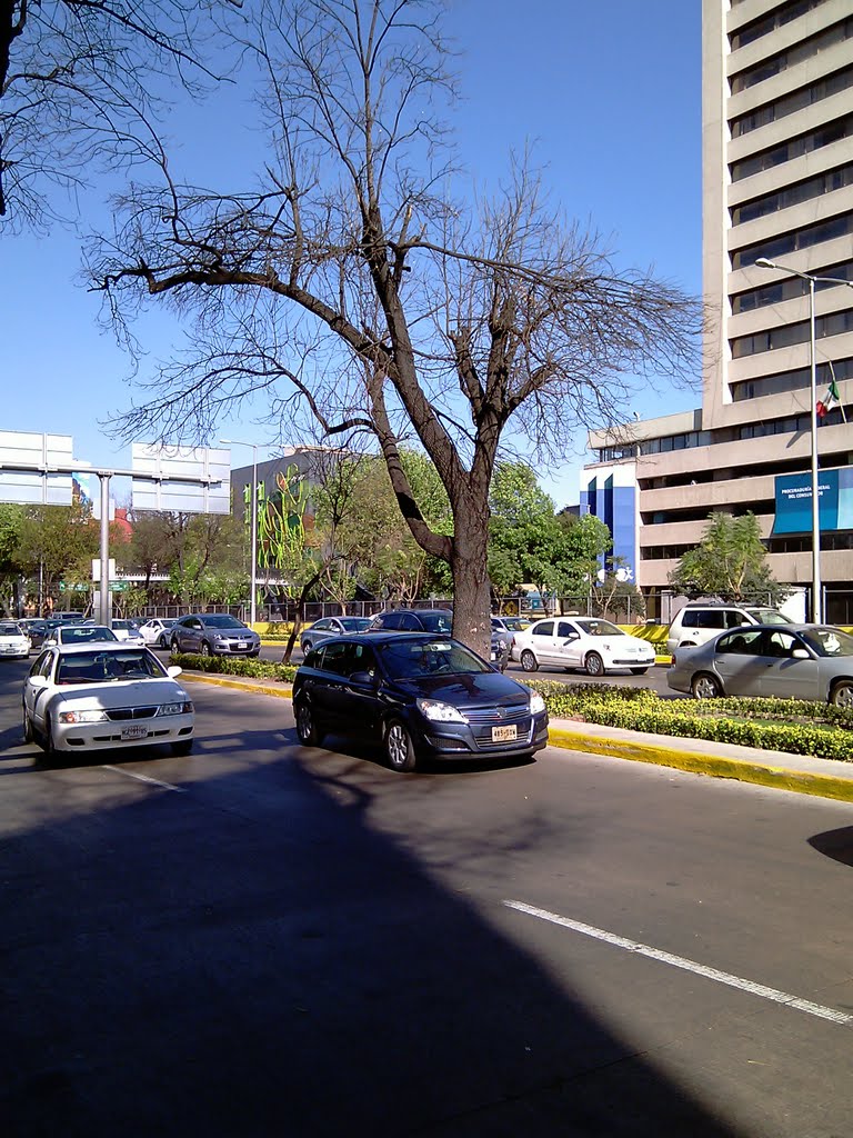 Frente al Procuradorio General del Consumidor by Shashasha