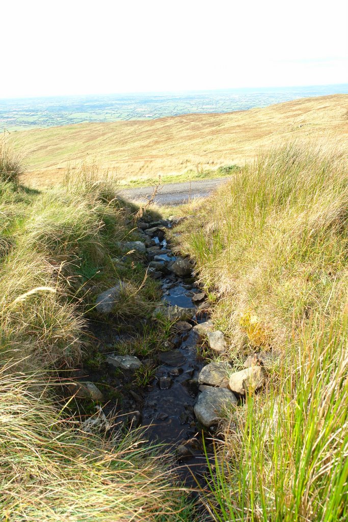 The Source of the River Lagan by Greg Thompson