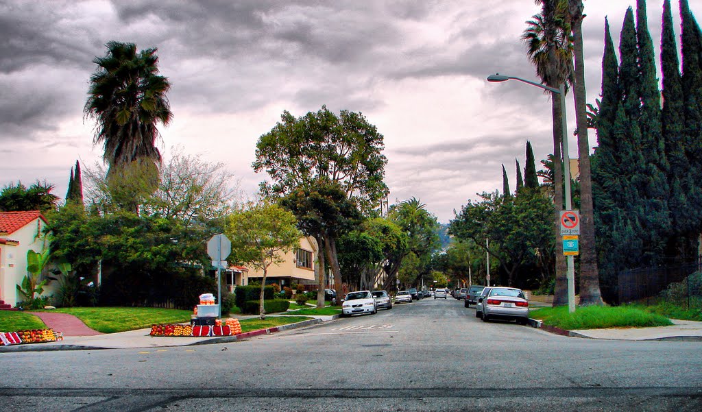 The Roads...in Central LA, Los Angeles, CA by aleksolo