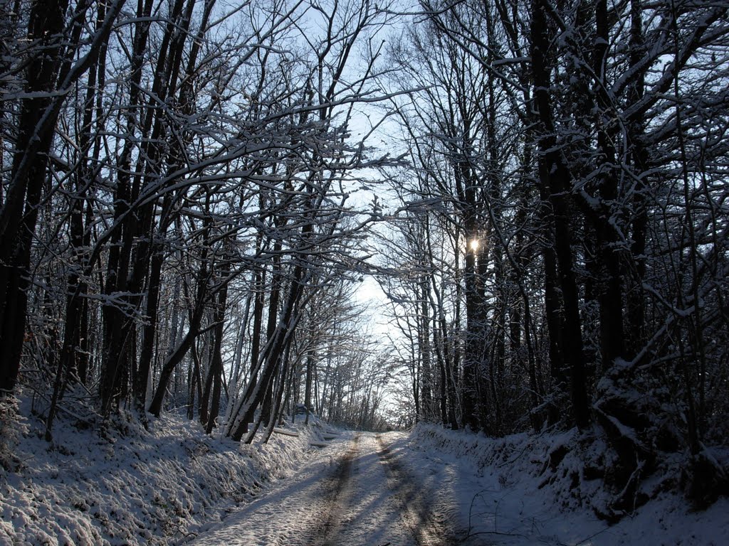 Chemin des Vaux by gunéra