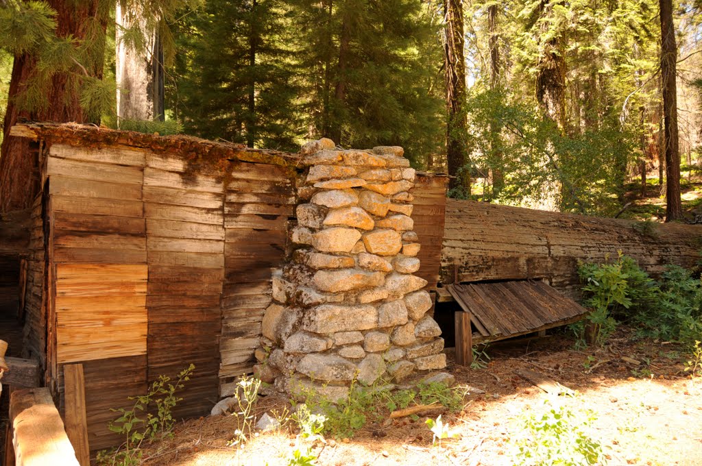 Sequoia Nal Park; Tharp Log by Phil Nieto