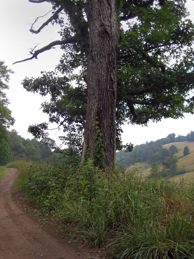 Floyd Co, VA by Matthew Sutton