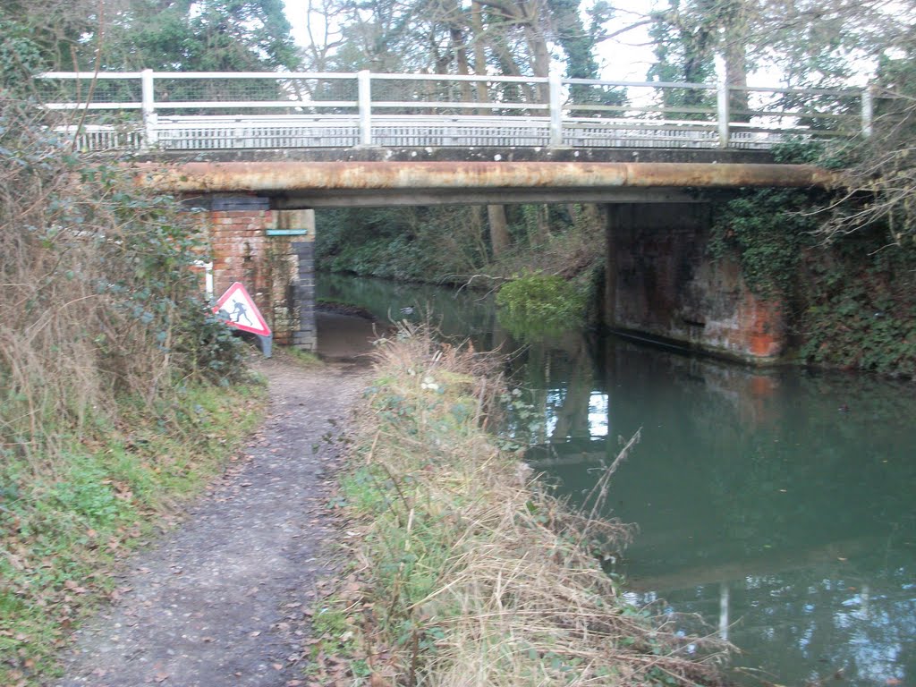 The Coxheath river bridge, Basingstoke Canal by Robert'sGoogleEarthPictures