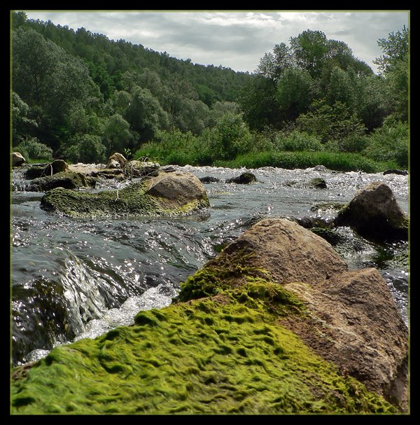 Berkhino, Osetr river by Александр Попов