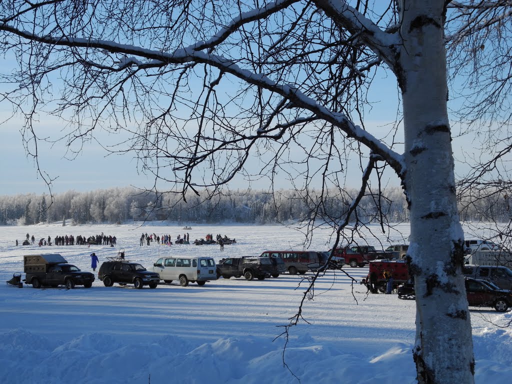 Carnaval de Invierno en Willow, Alaska. by Luis Diego Cruz