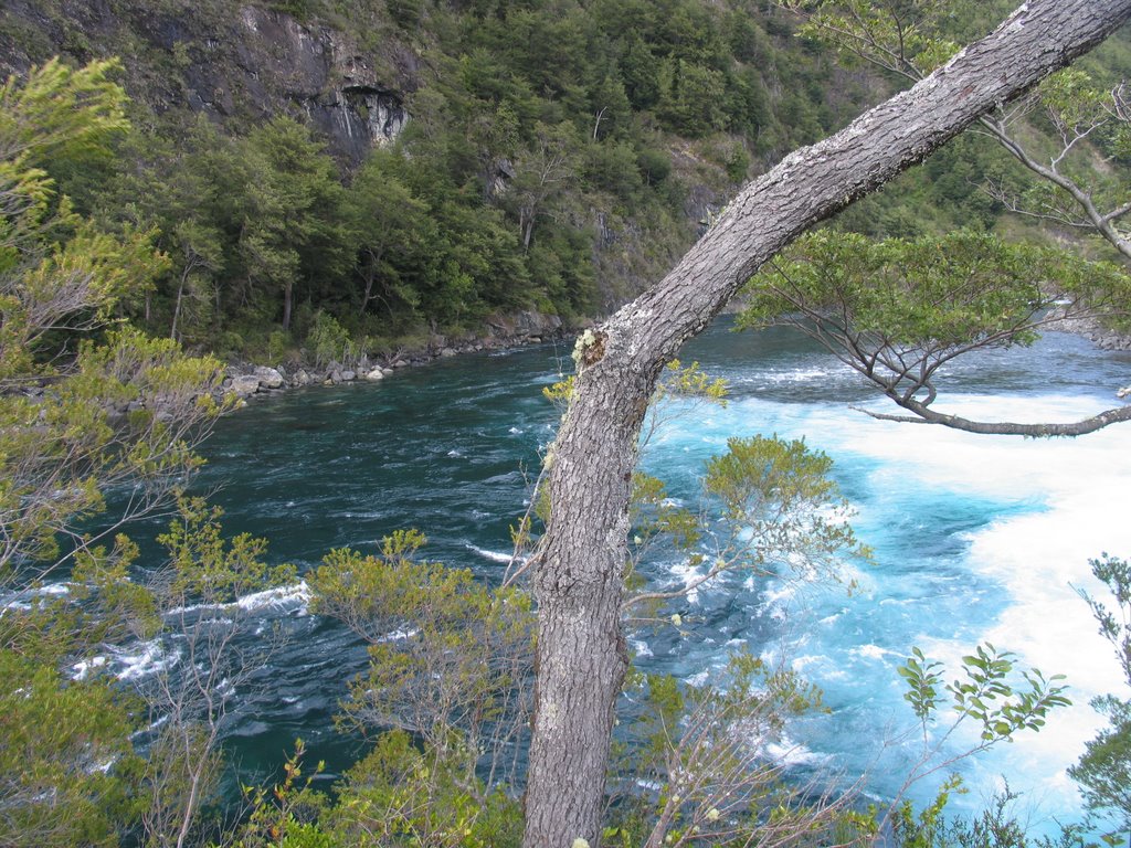 Les eaux émeraudes après les chutes de Petrohué by Dersou1