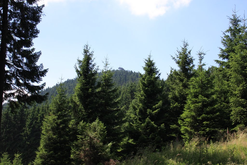 Harzwanderung Oberharz um Braunlage - Wurmberg - Weg zum Wurmberg-Blick zur Sprungschanze by Gottfried Hoffmann - der Thüringer