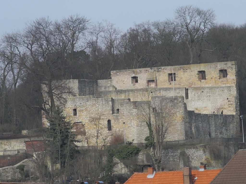 Salzderhelden: Blick auf die Burgruine by Kevin Arndt