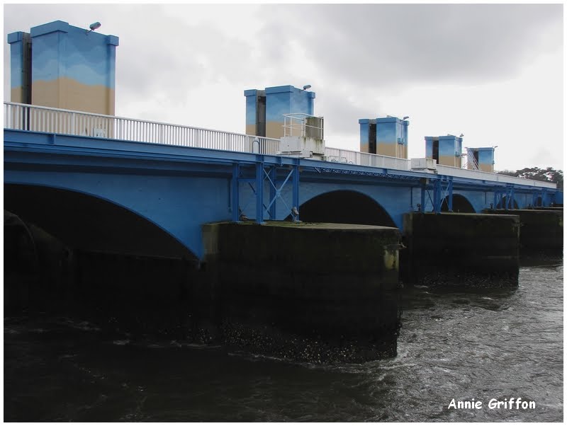 Le Barrage d'Arzal, Morbihan by ♫ Amonite ♫