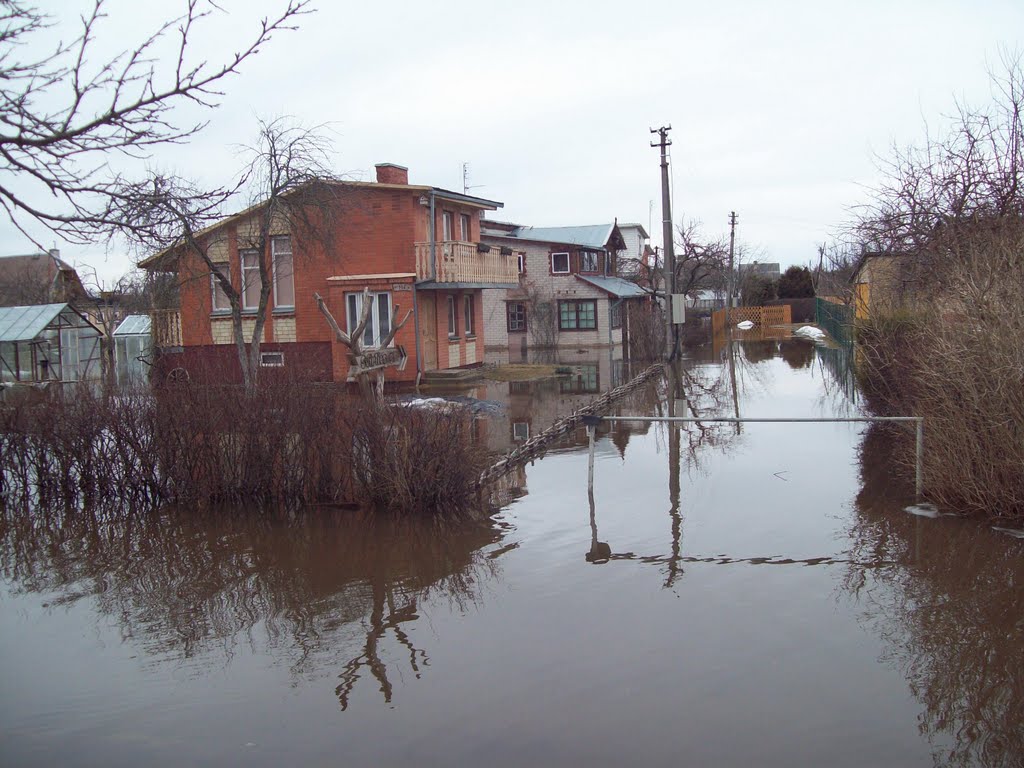 Flood near Pakuodziupiai by Bed