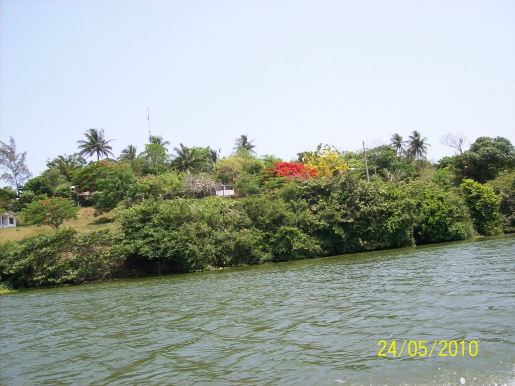 NAVEGANDO EL RIO CAZONES , VERACRUZ by doctre71@yahoo.com.mx