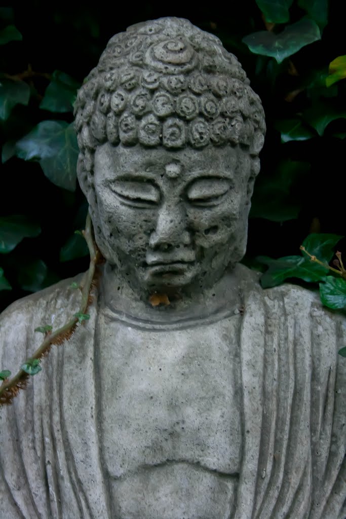 Budha by Enda Mc Cormack