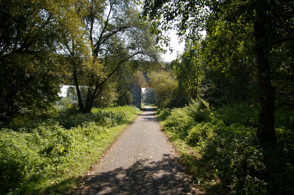 Mainuferweg by mrBobby