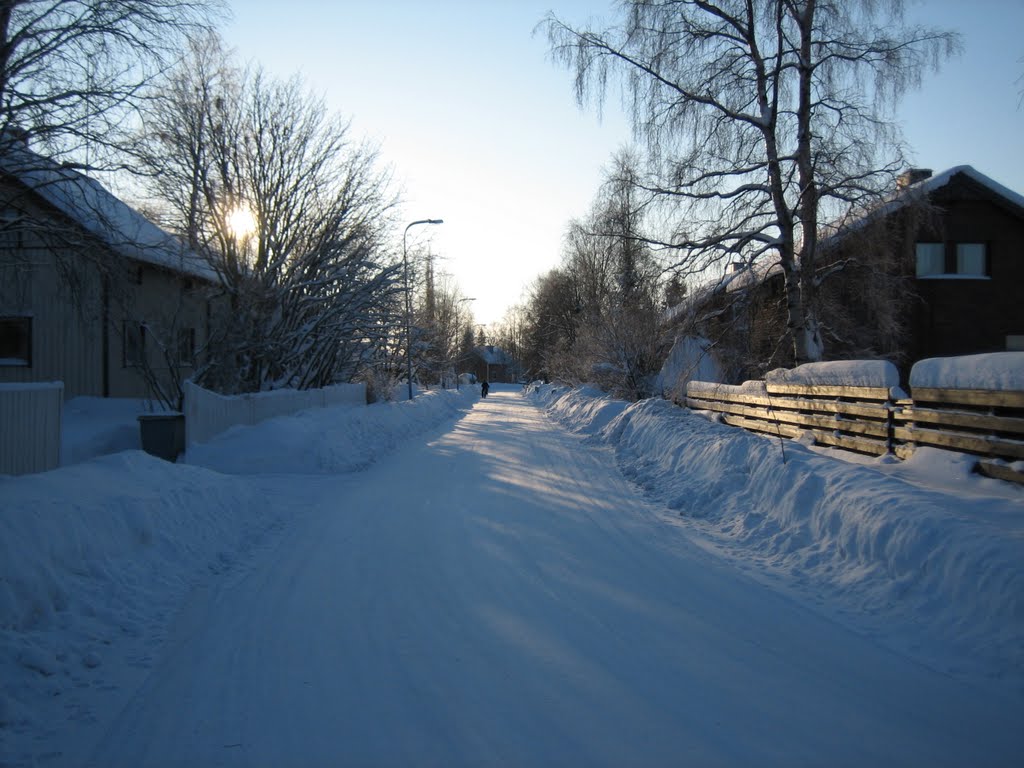 Koivuharju in February (Koivuharju Nisulankatu helmikuussa) by Vesa Aro