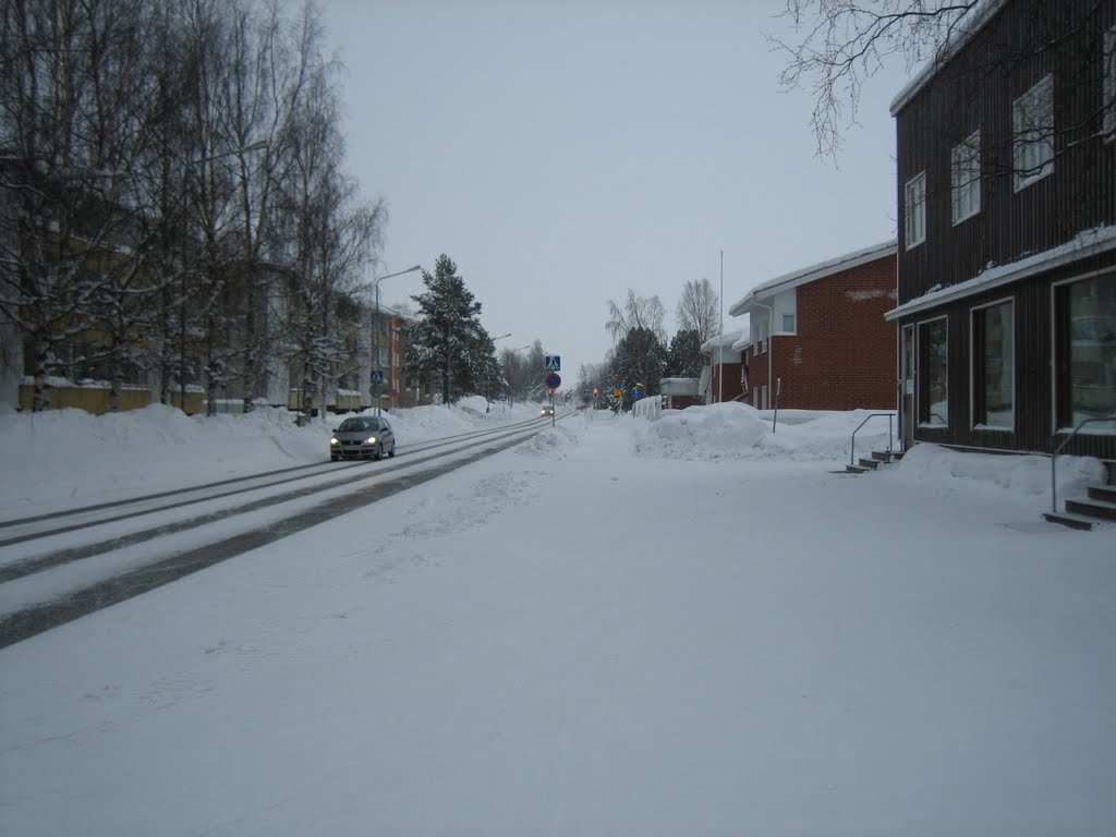 Kemi, Koivuharju in February (Kemin Koivuharju helmikuussa) by Vesa Aro