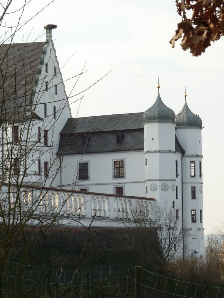 Schloss Vöhlin by LadyCG