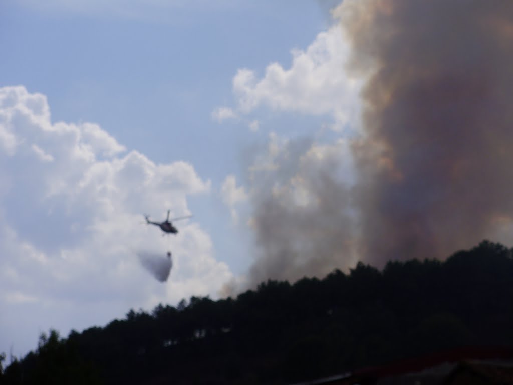 Incendio en los pinos de Alija del Infantado by frankyf