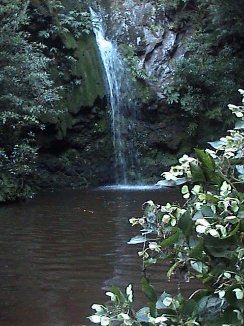 Poço das Asas - Faial by F.Figueiredo