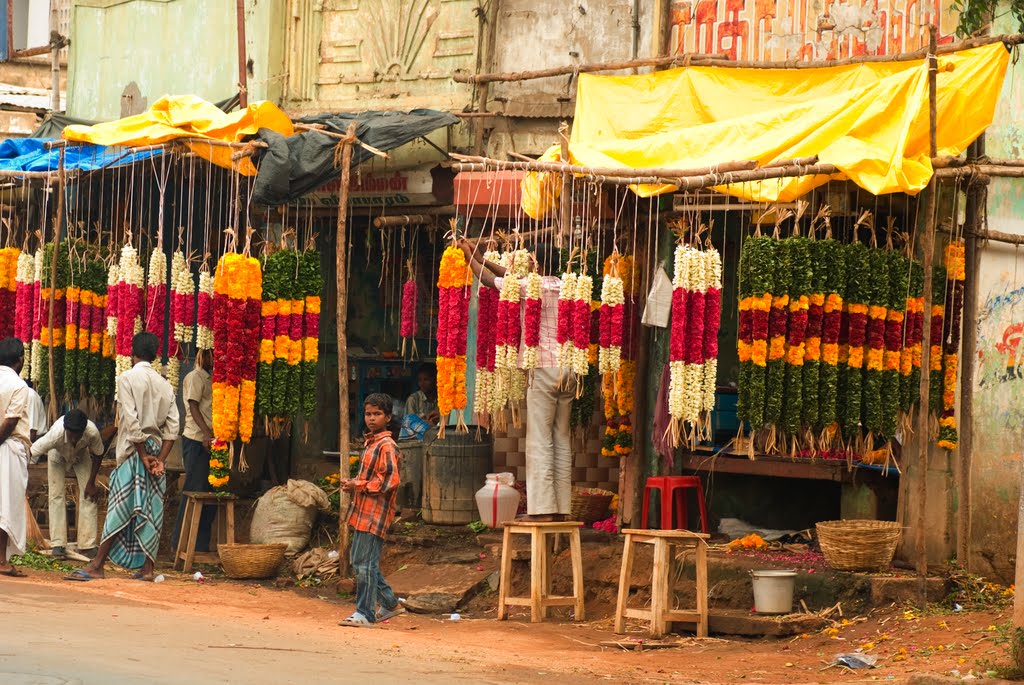 Thanjavur street by D.G.Molleví