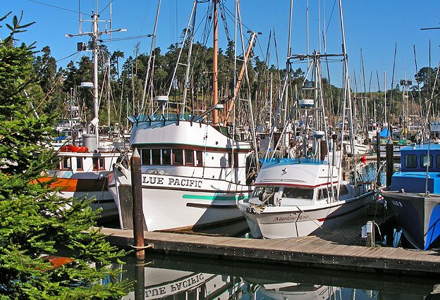 Fort Bragg, Noyo Harbor by schreiberfoto