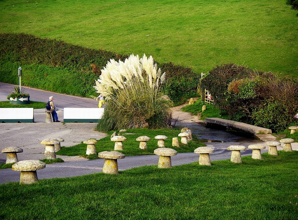 Mushrooms and Pampas by Rosalyn Hilborne (♦Rosa♦)