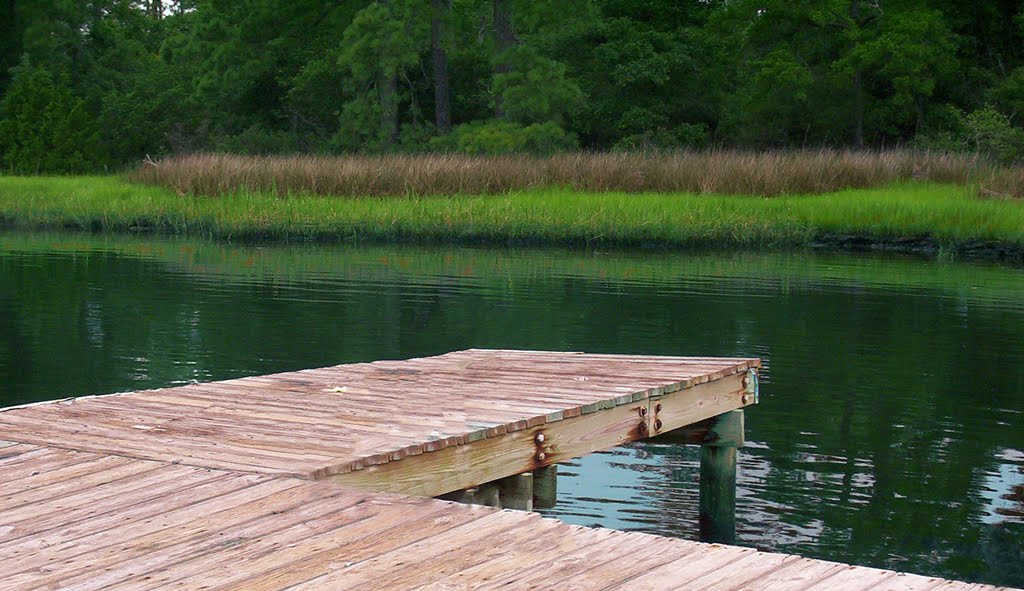 In First-Landing State park. (Virginia, USA) by phamhoanghai