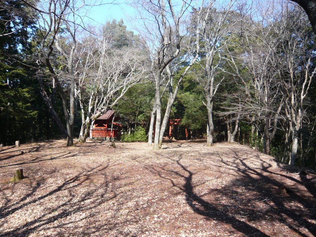 東吉野村小川 小川城址・主郭 Main region, ruins of Ogawa castle 2011.2.22 by as365n2