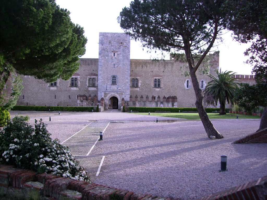 Palau dels Reis de Mallorca, Perpinyà (66) by ien62