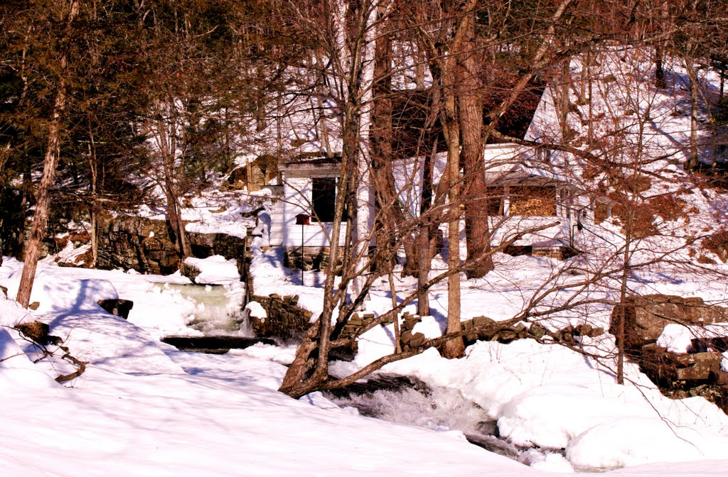 Waterfall View Homestead in South Bay..20FEB11 by rhl130