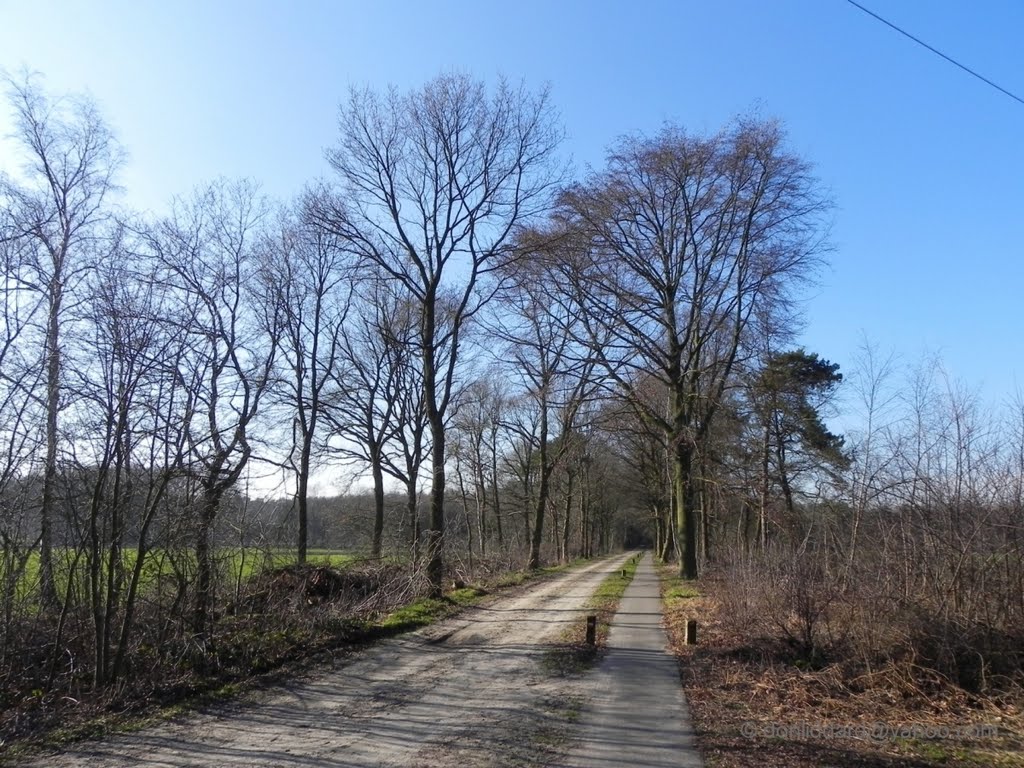 Netherlands kempenland north brabant cycle path knooppunte network by donliddard