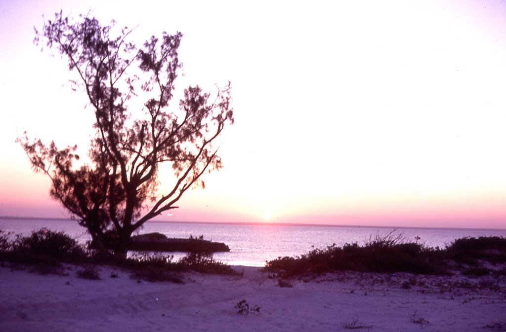 Ilha St. Carolina, Moçambique, 1968 by Luís Boléo