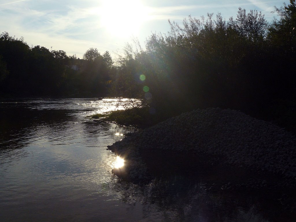 Alter Neckar by ©slorf