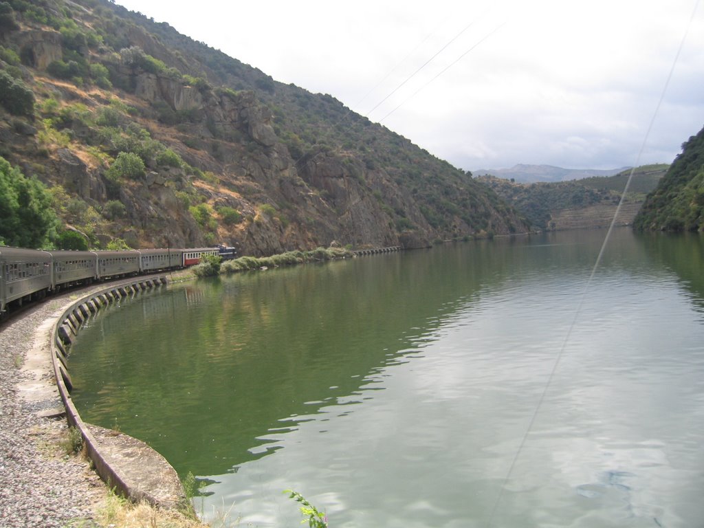 Douro River by Train by José Pires