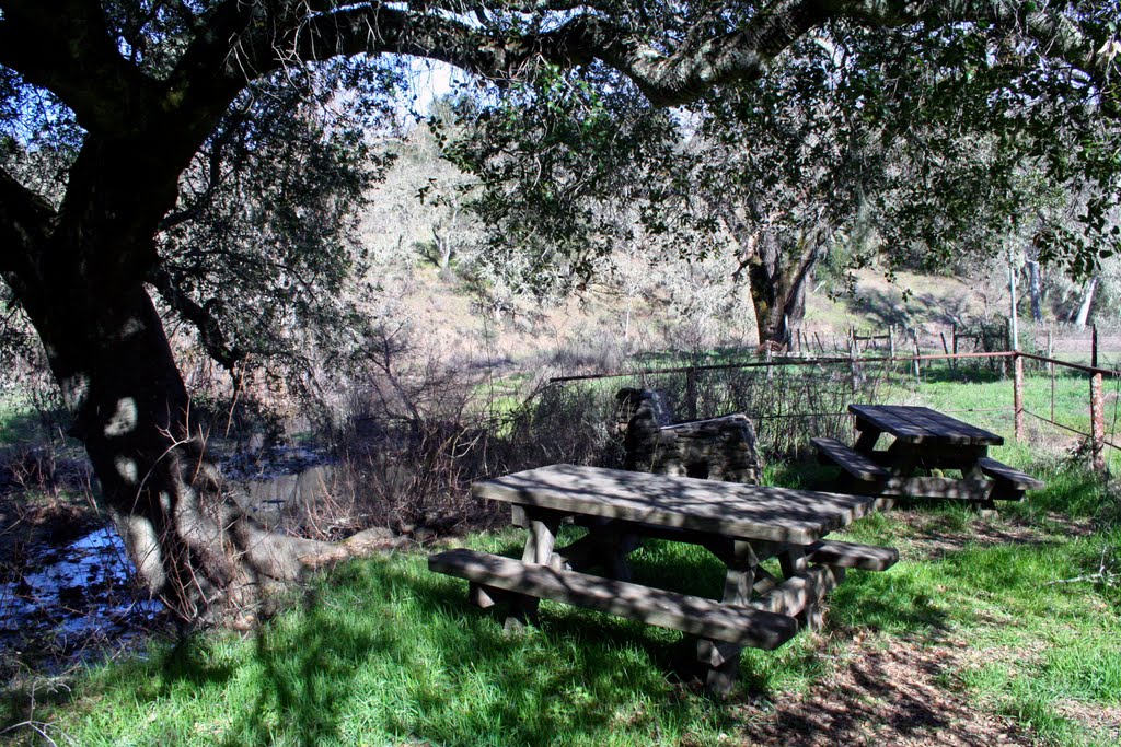 Park benches near windmill and water trough 2/11/11 by Edward Rooks