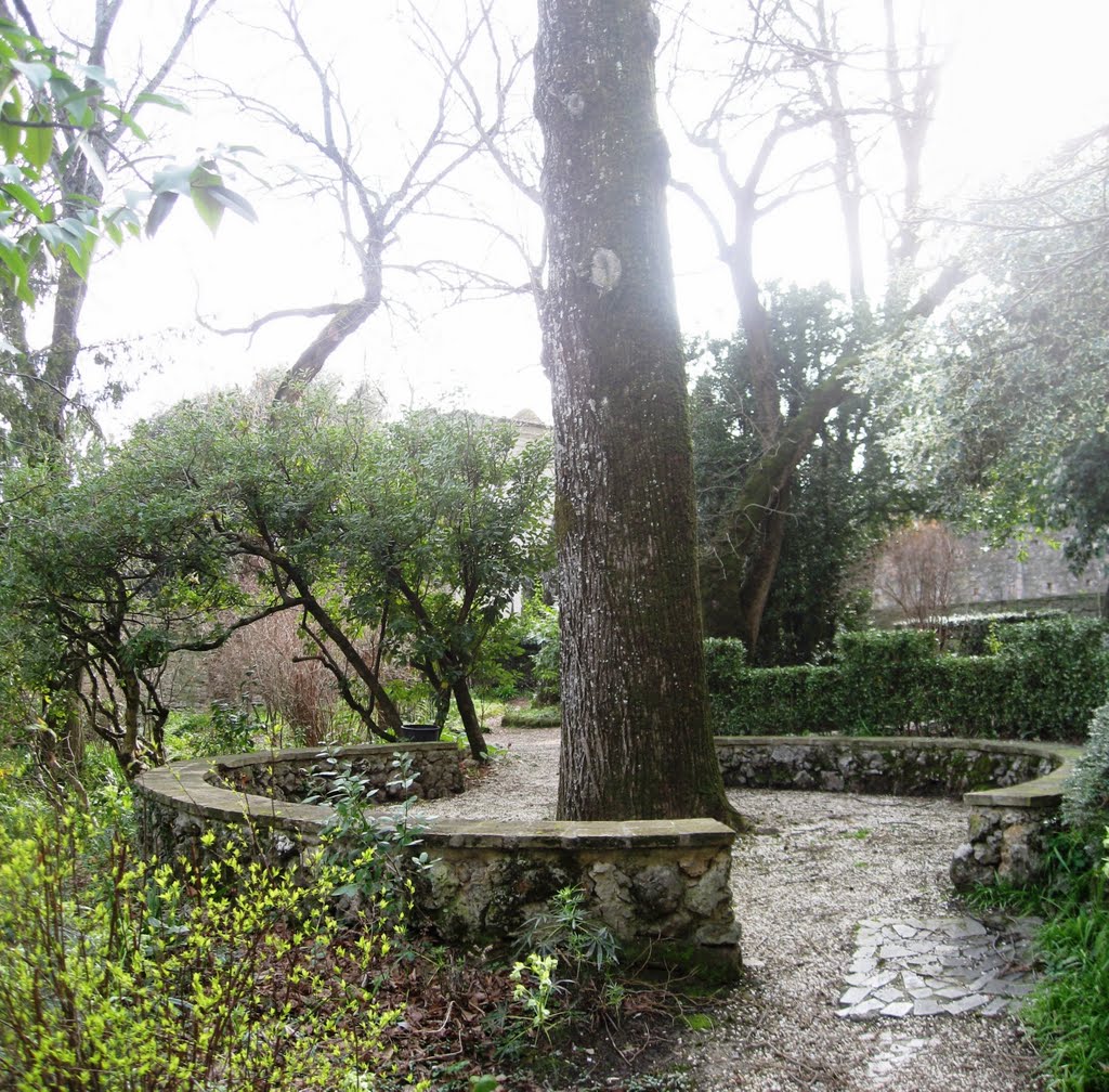 Parte del "Lucus" all'interno dell'orto medievale - Facoltà di Agraria di Perugia by peolo88