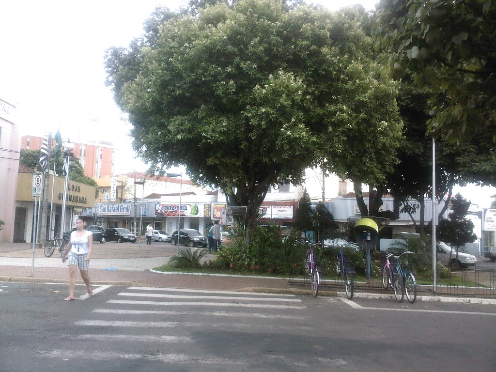 Praça en frente a camara by fernandimbrum