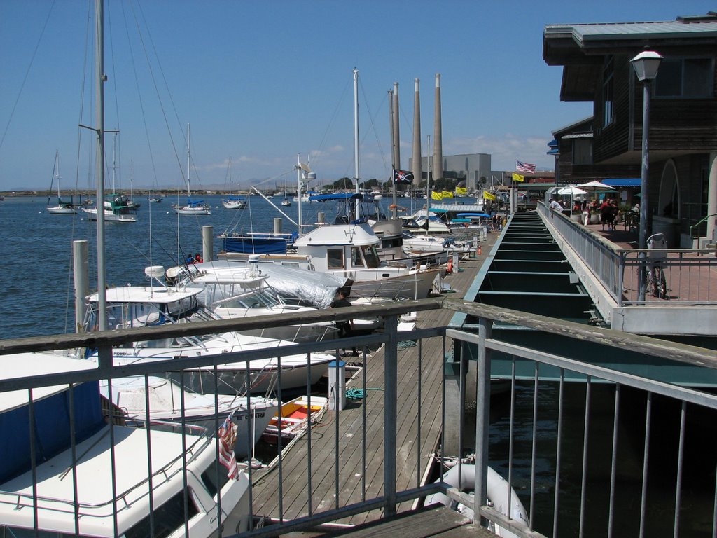 Morro Bay, California IMG_4744 by Maurice Lewton