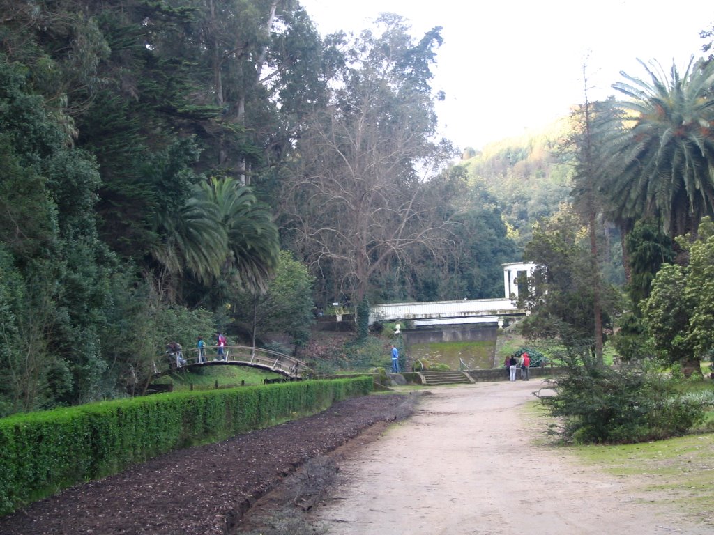 Jardin Botanico de Viña by Carlos_Scl