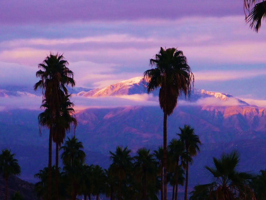 Winter in Palm Springs by havasuisaac