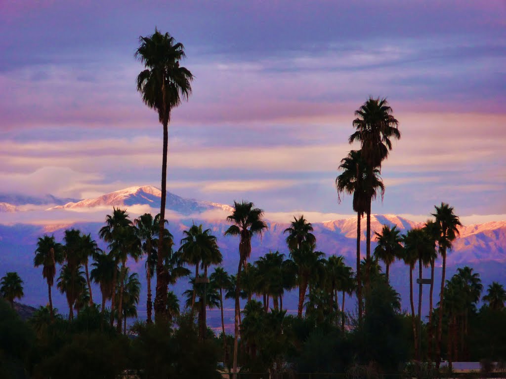 Winter in Palm Springs by havasuisaac