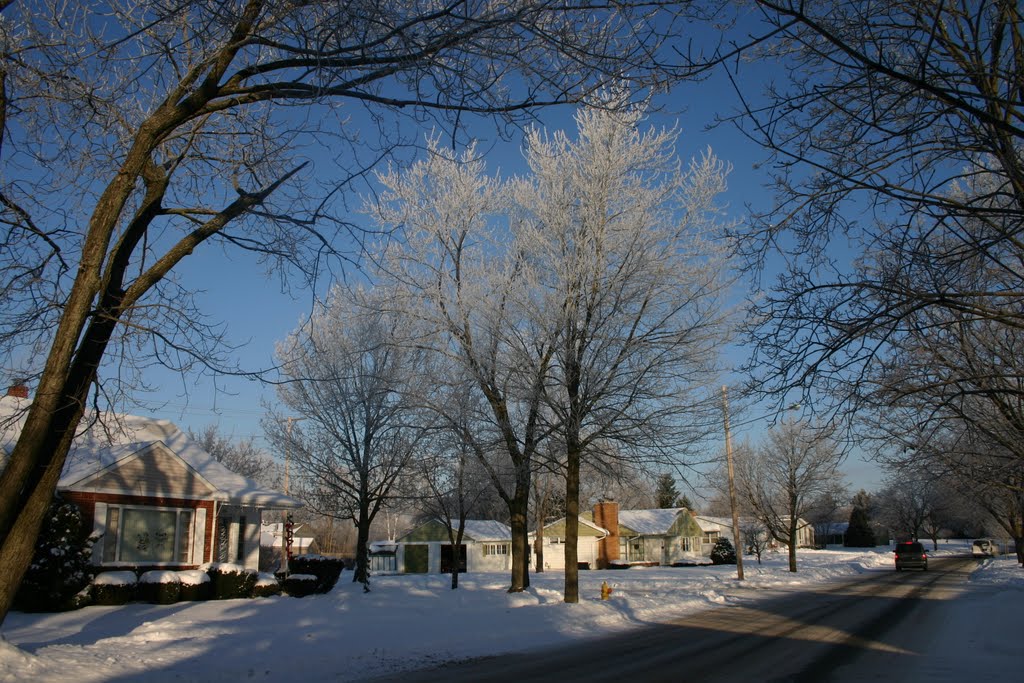 Snow Covered Trees, Lapeer, MI Thanksgiving 2004 by archlapeer