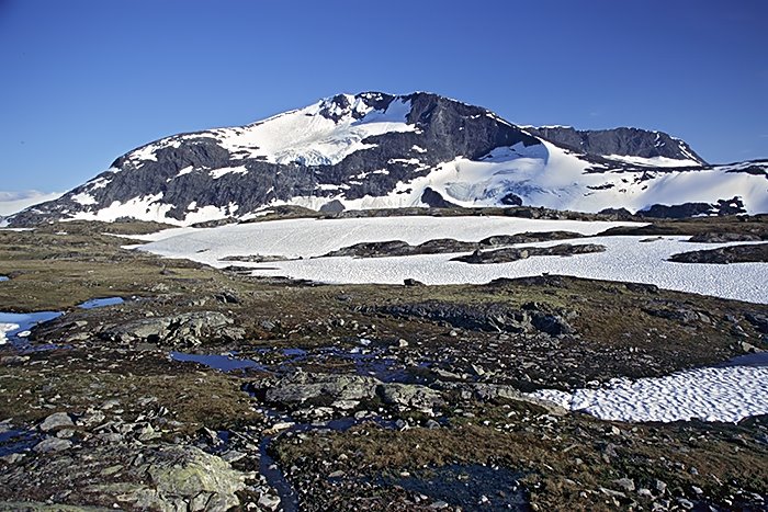 Sognefjell by Konrad Vetter