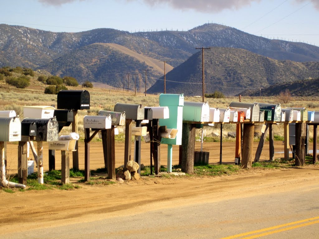 Rural delivery by Tom Troxel