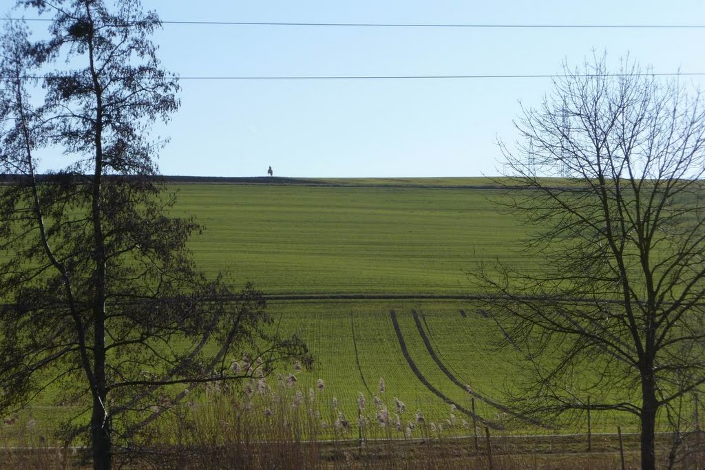 Reiter am Horizont bei Nordheim by wernerbw